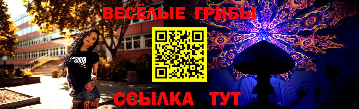 Псилоцибиновые грибы Psilocybe Железноводск